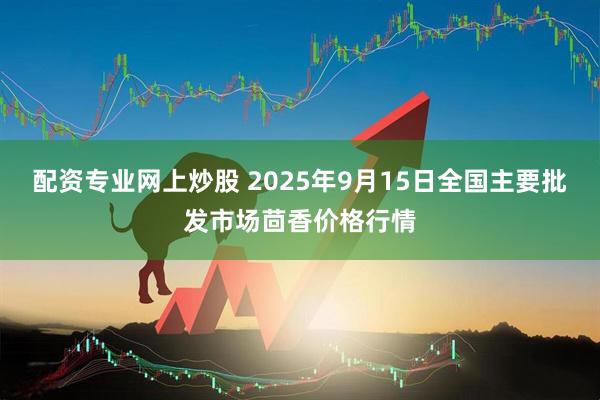 配资专业网上炒股 2025年9月15日全国主要批发市场茴香价格行情