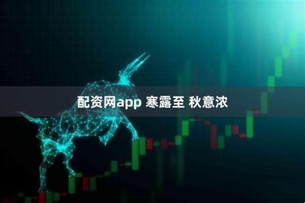 配资网app 寒露至 秋意浓
