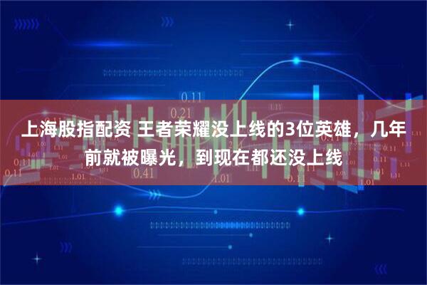 上海股指配资 王者荣耀没上线的3位英雄，几年前就被曝光，到现在都还没上线